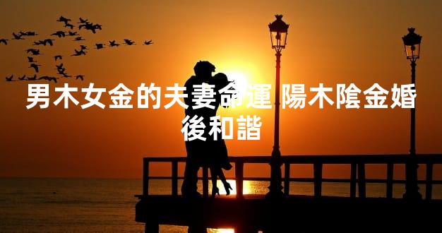 男木女金的夫妻命運 陽木隂金婚後和諧